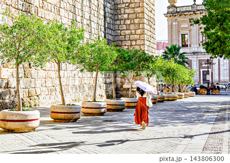 A woman in a red dress with a white umbrella, walking alongside the stone wall and medieval towers of the historic Real Alcazar of Seville, Andalusia, Spain A woman in a red dress with a white umbrella, walking alongside the stone wall and medieval towers of the historic Real Alcazar of Seville, Andalusia, Spain 143806300
