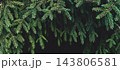 Dark spruce branches on black - moody christmas banner with copy space 143806581