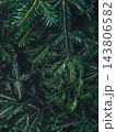 Dark spruce branches texture - moody christmas banner background 143806582