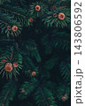 Dark spruce branches - moody christmas card background 143806592