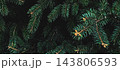Dark spruce branches - moody christmas banner background 143806593