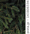 Dark spruce branches close up - moody christmas card background 143806594