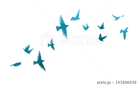 Flying blue birds silhouette flock. hand drawing. Not AI. Vector illustration Flying blue birds silhouette flock. hand drawing. Not AI. Vector illustration 143806836