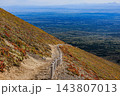 赤や黄に色づく高山植物の斜面と眼下に広がる雄大な樹海・樽前山登山道からの眺望 143807013