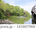 爽やか　春の公園 143807966