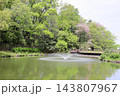 爽やか　春の公園 143807967