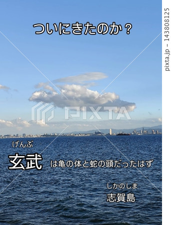 福岡市東区志賀島のから見た海 福岡市東区志賀島のから見た海 143808125