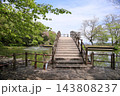 春の公園　太鼓橋 143808237