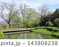 爽やか　春の公園 143808238