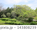 春の公園 143808239