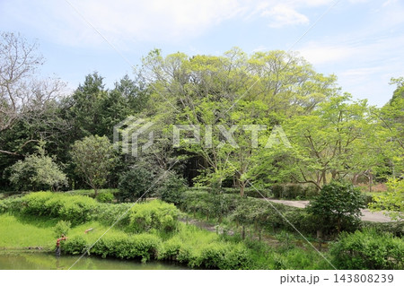 春の公園 春の公園 143808239
