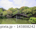春の公園　太鼓橋 143808242