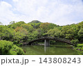 春の公園　太鼓橋 143808243