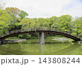 春の公園　太鼓橋 143808244