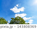秋の青空と雲と樹木 143808369
