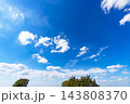 秋の青空と雲と樹木 143808370