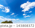 秋の青空と雲と樹木 143808372