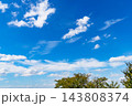 秋の青空と雲と樹木 143808374