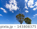 秋の青空と雲と樹木 143808375