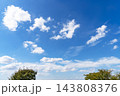 秋の青空と雲と樹木 143808376