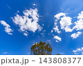 秋の青空と雲と樹木 143808377