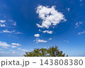 秋の青空と雲と樹木 143808380