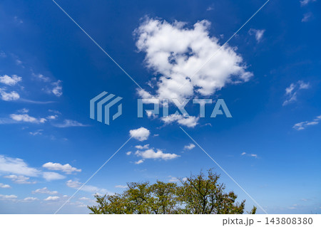 秋の青空と雲と樹木 143808380