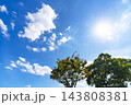 秋の青空と雲と樹木 143808381