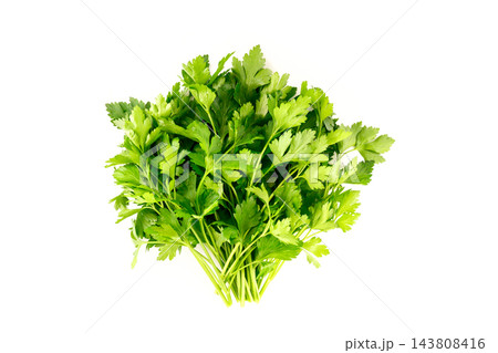 lush fresh bunch of green parsley herb isolated on white background 143808416