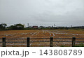 雨水が残る田んぼと曇り空の田園風景 143808789