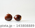 いが栗から出したばかりの艶やかな栗 白背景 コピースペース 143808889
