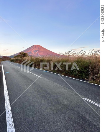 ススキ越しに見る朝色の富士山 143808923
