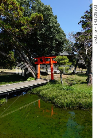 厳島湿生公園 143808933