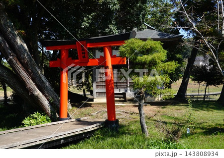 厳島湿生公園 厳島湿生公園 143808934