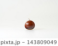 いが栗から出したばかりの艶やかな栗 白背景 コピースペース 143809049