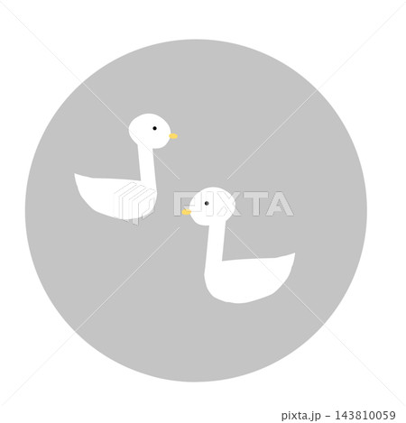 水面に浮かぶ白鳥のつがいアイコン(グレーの丸背景) 水面に浮かぶ白鳥のつがいアイコン(グレーの丸背景) 143810059