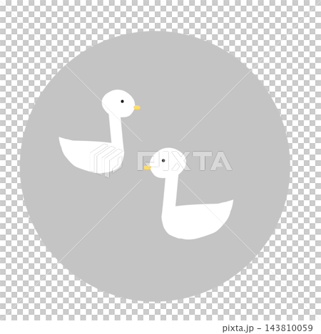 水面に浮かぶ白鳥のつがいアイコン(グレーの丸背景) 水面に浮かぶ白鳥のつがいアイコン(グレーの丸背景) 143810059
