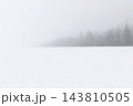 Monochrome landscape, snowy field and trees in white fog. 143810505