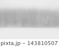 Monochrome landscape, snowy field and trees in white fog. 143810507