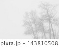 Monochrome landscape, snowy field and trees in white fog. 143810508
