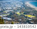 菜の花咲く渥美半島（愛知県田原市） 143810542
