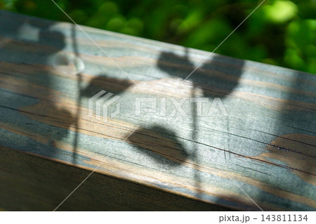 various various 143811134