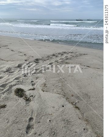 海亀上陸跡 143811375