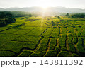 Beautiful sunrise over green rice fields and mountain landscape in countryside 143811392