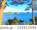 馬の背の松の木の間から眺望する松島湾の島々 143811694