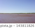 南オーストラリア州バンブンガ湖のピンク色の塩湖とLoch-Eel Monster 南オーストラリア州バンブンガ湖のピンク色の塩湖とLoch-Eel Monster 143811826