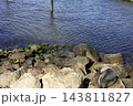 ヨーク半島の岩場で日光浴をして休むオーストラリアのオットセイ ヨーク半島の岩場で日光浴をして休むオーストラリアのオットセイ 143811827
