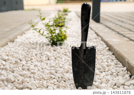 White decorative pebbles create a border along a garden path. A black hand trowel stands upright among the pebbles, complementing the landscaping design. White decorative pebbles create a border along a garden path. A black hand trowel stands upright among the pebbles, complementing the landscaping design. 143811878