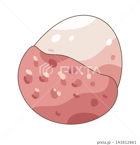 Illustration of lychee Illustration of lychee 143812661