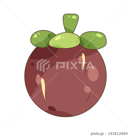 Illustration of mangosteen 143812664